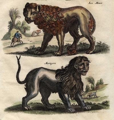 Exposition animaux fantastiques créatures Manticore mythologie