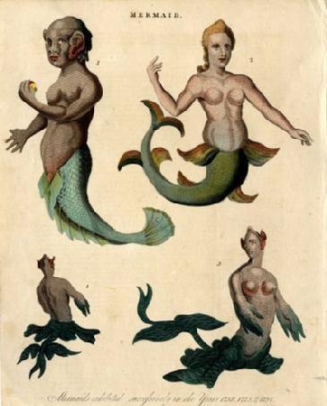 Exposition créatures fantastiques animaux tritons sirènes Exposition créatures fantastiques animaux tritons sirènes