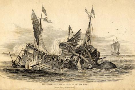 Exposition créatures fantastiques animaux monstre kraken Exposition créatures fantastiques animaux monstre kraken