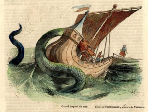 Exposition créatures fantastiques animaux monstre kraken Exposition créatures fantastiques animaux monstre kraken