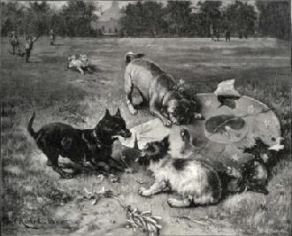 Exposition Histoire cerfs-volants Royaume Uni