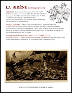 Exposition créatures fantastiques triton Exposition créatures fantastiques triton