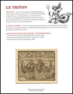 Exposition créatures fantastiques sirène mythologie Exposition créatures fantastiques sirène mythologie